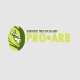 Proarb Canterbury
