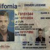 Best Fake Id