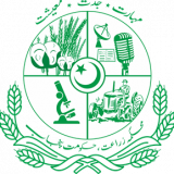 saqib169