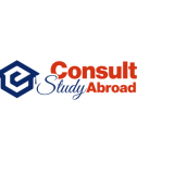Study Abroad Consultants