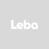 Leba Ethnic Media