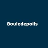 Bouledepoils