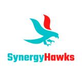 SynergyHawks