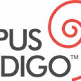 Opus Indigo Designs