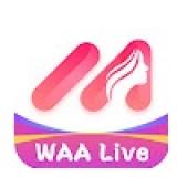 Waalive