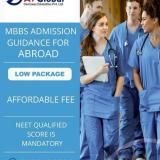 AV Global Overseas Education