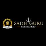Indian Astrologer in Canada