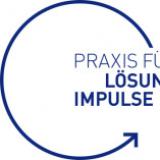 Loesungs Impulse