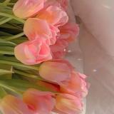 baroc